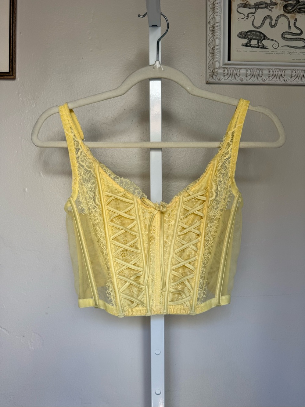 Victoria's Secret Yellow Fairy Lace Corset Crop Top
